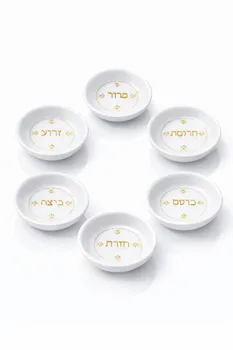 סט 6 קעריות לסדר פסח מהממות
